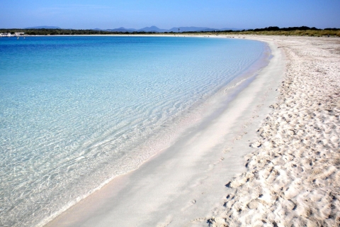 From San Antonio or Ibiza: Discover Es Vedrà and Formentera Option from San Antonio