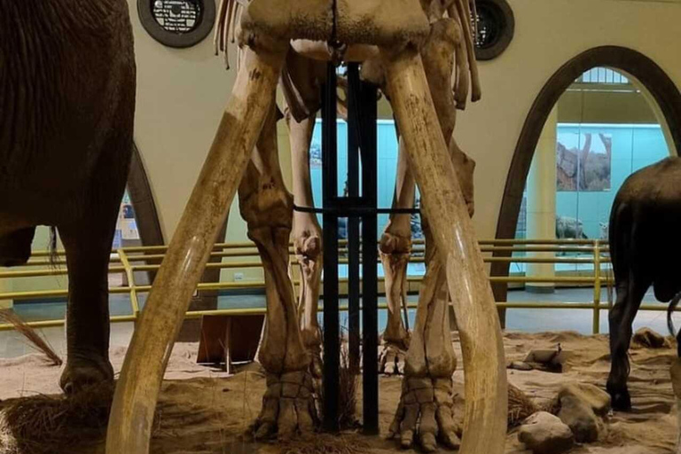 Nairobi: National Museum and Snake Park Guided Tour