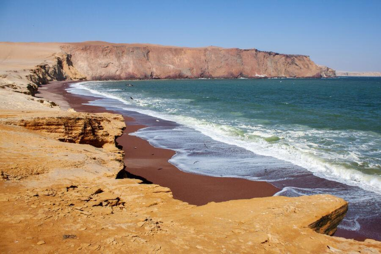 From Lima: Paracas Reserve & Nazca Lines Flight from Pisco