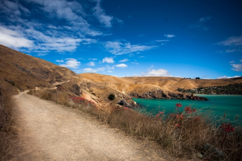 Christchurch: paseo guiado del borde del cráter en la península de Banks