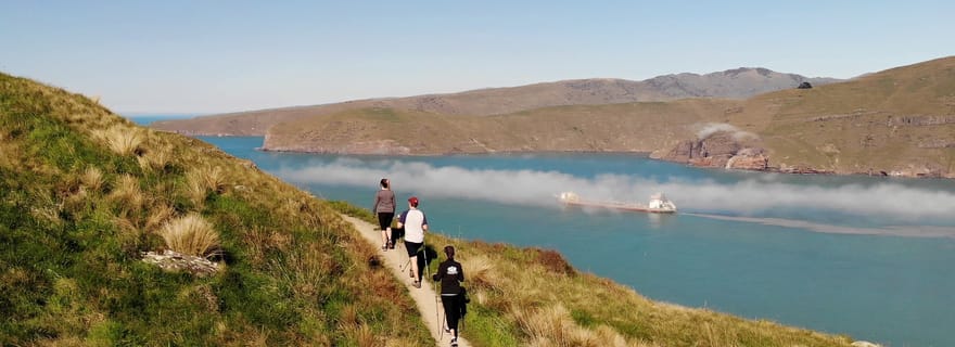 Christchurch : promenade guidée sur le bord du cratère avec paysage côtier