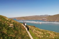 Christchurch/Lyttelton, paseo guiado del borde del cráter con Picnic - Hizvo