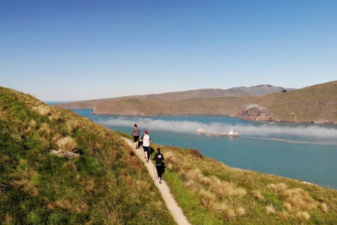 Christchurch: Promenade guidée au bord du cratère dans la péninsule de BanksMise à niveau vers une promenade guidée privée de luxe sur un cratère