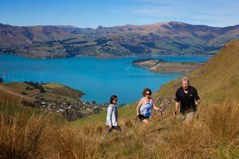 Christchurch: paseo guiado del borde del cráter en la península de BanksAscienda de categoría a Paseo privado de lujo por el cráter