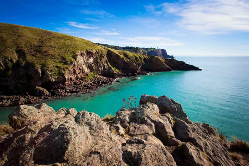 Christchurch: Guided Crater Rim Walk in Banks Peninsula | GetYourGuide