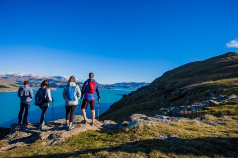 Christchurch: Guided Crater Rim Walk and Picnic