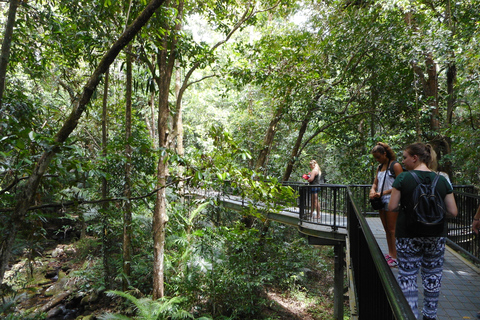 Excursão de 2 dias a Atherton Tablelands, Mossman Gorge e DaintreeAtherton Tablelands, Mossman Gorge e Daintree Tour