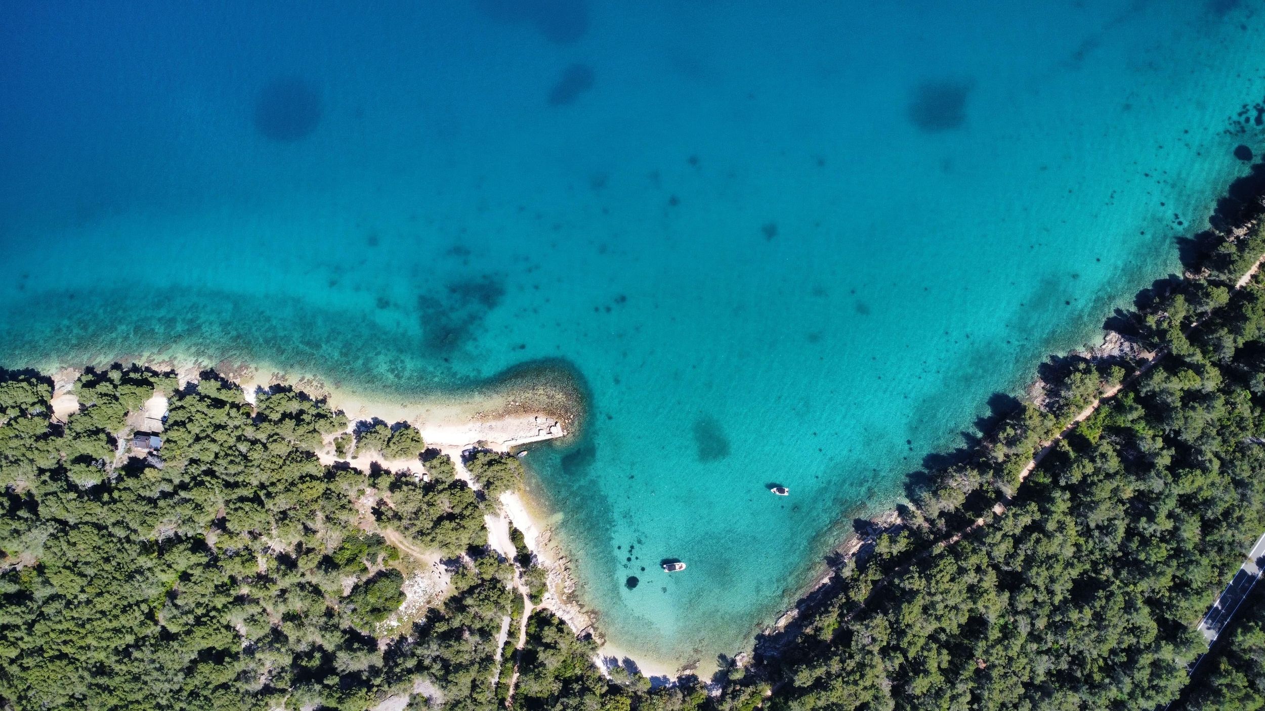 Zadar: Schnellboot-Tour, 3 Inseln, Wein & Schnorcheln für Kleingruppen