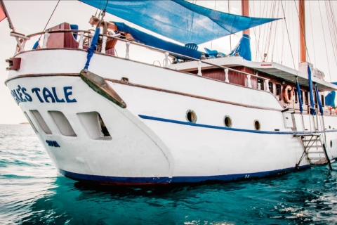 Fidji : croisière en voilier tout compris dans les îles MamanucaOption 2 : prise en charge depuis l'hébergement de la côte de corail