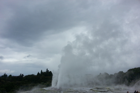 Rotorua: Te Puia Maori Village and Rejuvenation Tour Rotorua: Cultural and Rejuvenation Tour