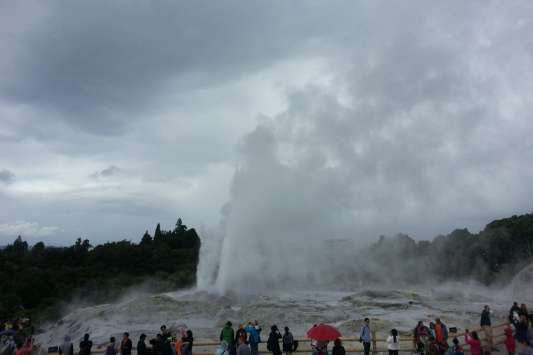 Rotorua: Te Puia Maori Village and Rejuvenation Tour Rotorua: Cultural and Rejuvenation Tour