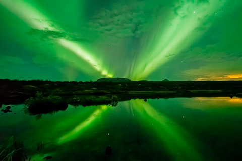 Desde Reikiavik: avistamiento de ballenas y aurora boreal