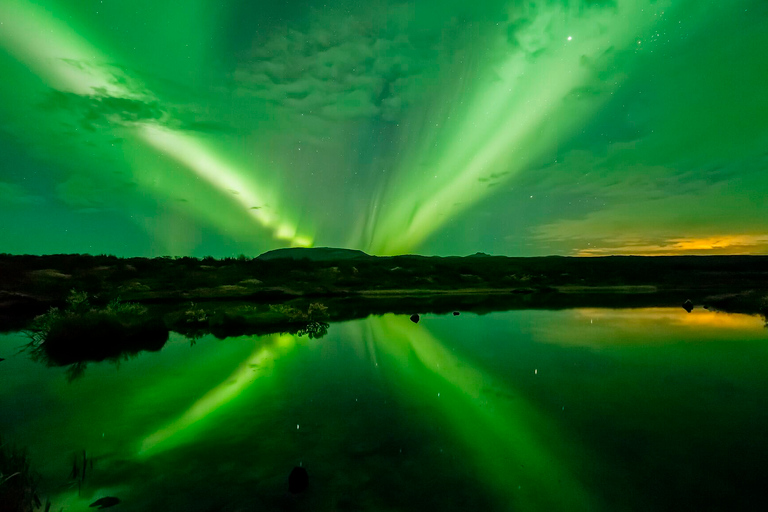 Van Reykjavík: combinatietour walvisspotten en noorderlicht