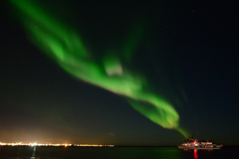 From Reykjavík: Whale Watching and Northern Lights Combo