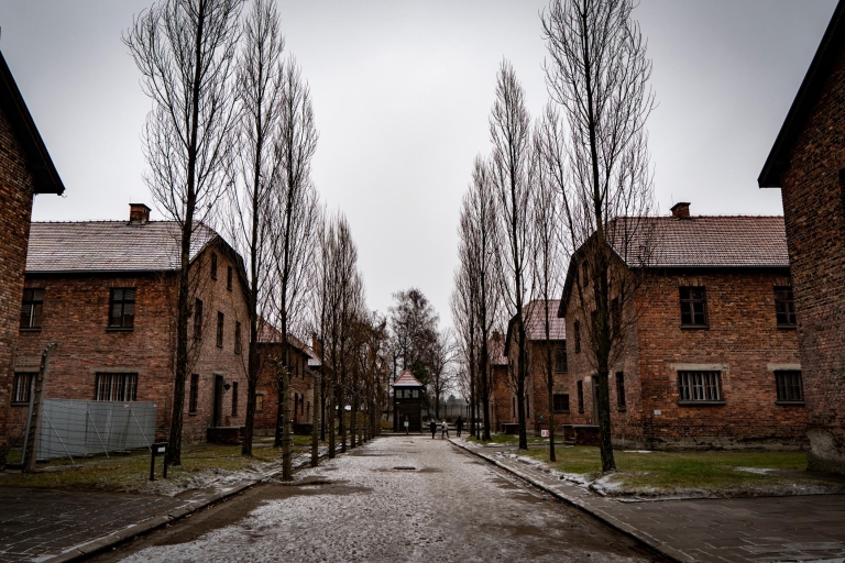 Cracovie : Auschwitz et la mine de sel de Wieliczka (visite guidée d'une journée)Visite en anglais avec prise en charge à l'hôtel