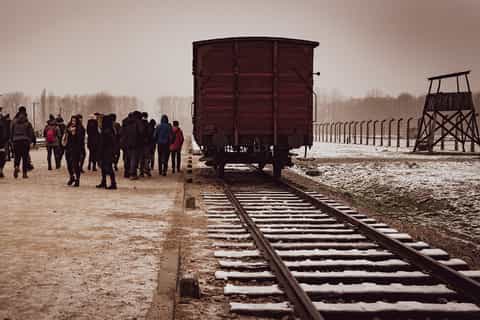 From Krakow: Auschwitz, Wieliczka Salt Mine & Pickup Options