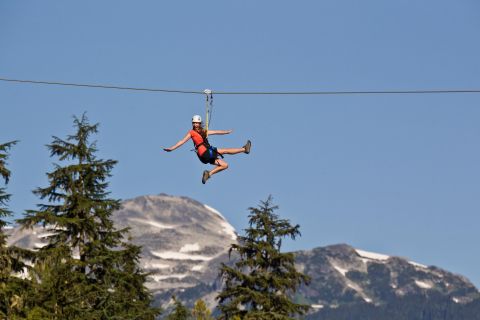 Whistler Zipline Experience: Ziptrek Bear Tour