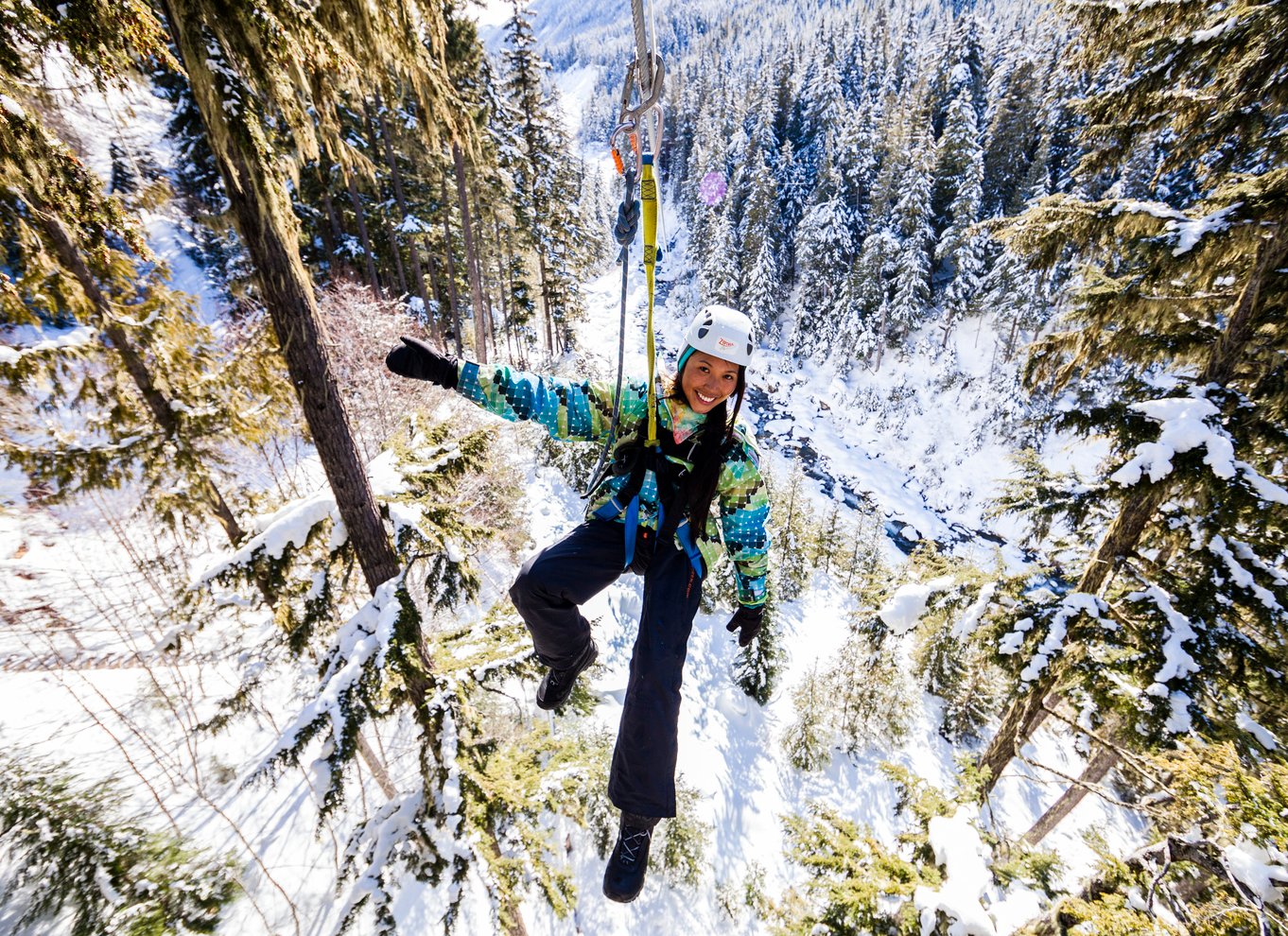 Whistler Zipline-oplevelse: Ziptrek bjørnetur