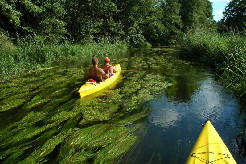 Masurian Lake District Canoe And Sailing Tour From Warsaw Getyourguide