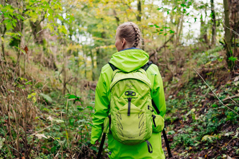 Kassel: Hercules Vital Tour - Guided Hike Through the Habichtswald Kassel: Hercules Vital Tour