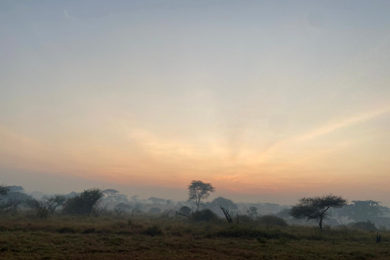 Arusha: Serengeti National Park Overnight TripJoining Safari: Serengeti National Park Overnight Camping