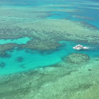 Playa de la Misión: Esnórquel en la Gran Barrera de Coral o Crucero de buceo