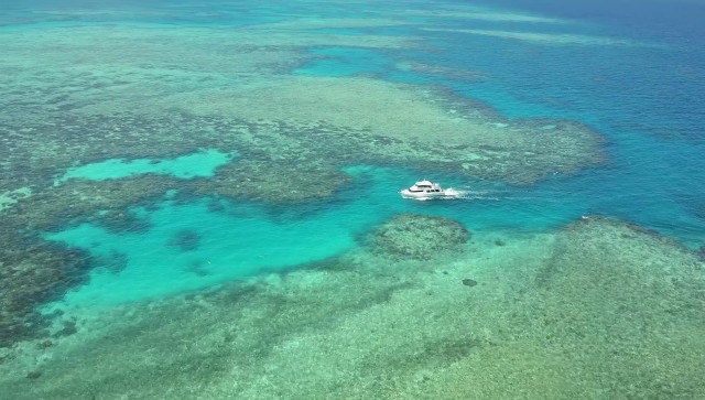 Mission Beach: Great Barrier Reef Snorkel or Dive Cruise