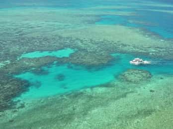 Mission Beach: Schnorchel- / Tauchtour am Great Barrier Reef Mission Beach: Schnorchel- / Tauchtour am Great Barrier Reef