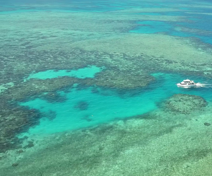 Mission Beach: Great Barrier Reef Snorkel or Dive Cruise