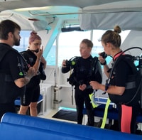 Mission Beach, Great Barrier Reef Splonnel ou Dive Cruise - Housity