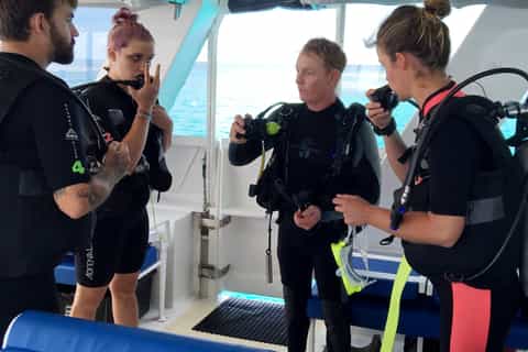 Mission Beach: Great Barrier Reef Snorkel or Dive Cruise