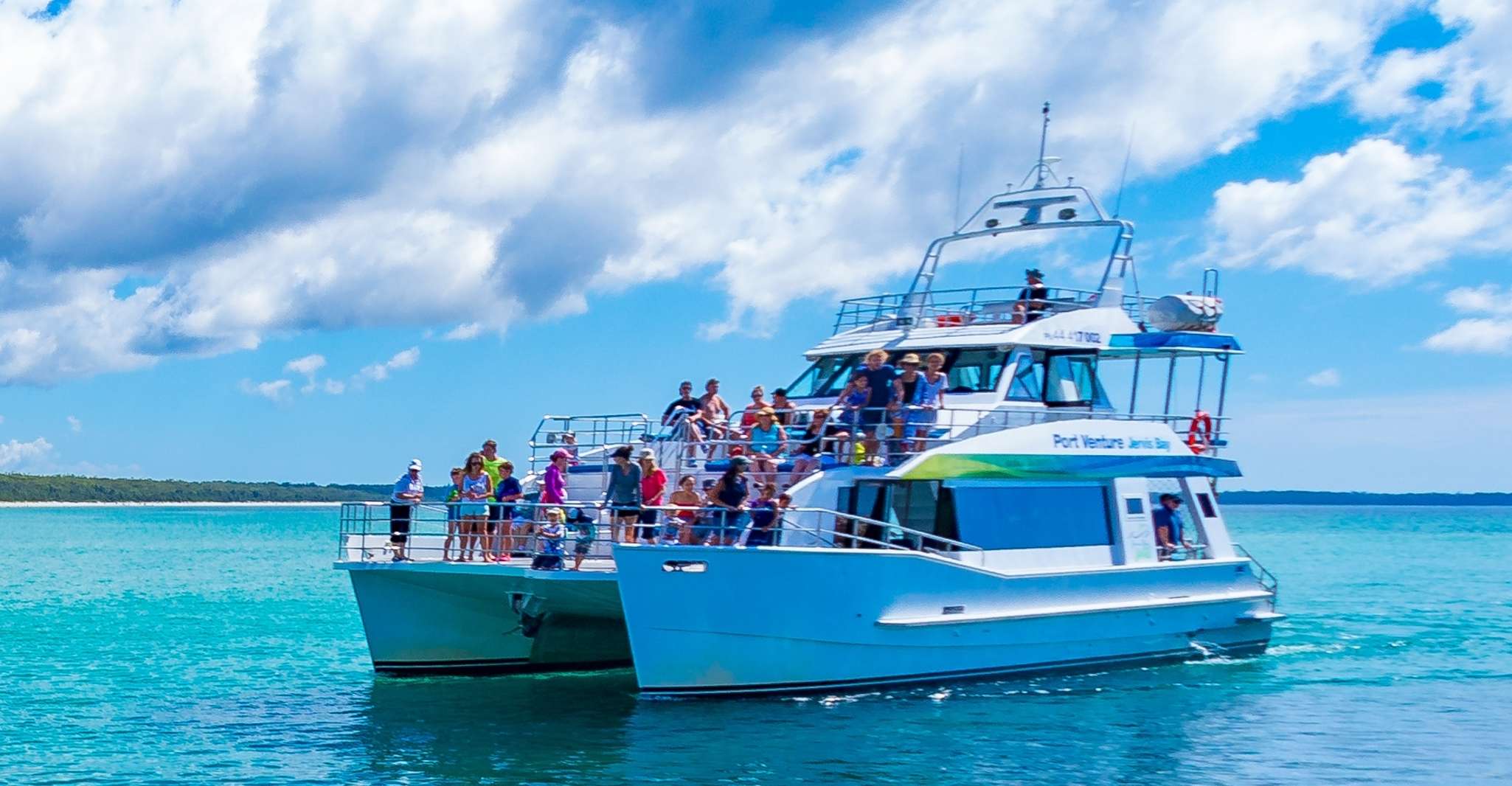 Jervis Bay, 1.5-Hour Dolphin Cruise - Housity