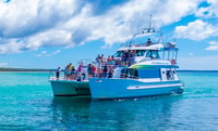 Jervis Bay, crucero Dolphin de 1.5 horas - Housity