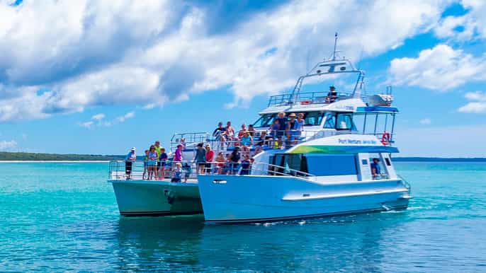 bahía de jervis crucero de delfines de 1.5 horas