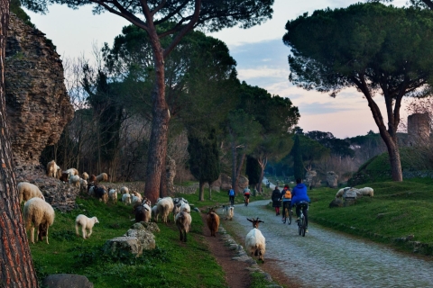 Rome: visite en vélo électrique de la voie Appienne