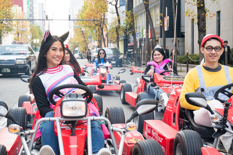 Osaka: Guided Go Karting Tour in a Funny Costume1-Hour Course from July 20, 2023