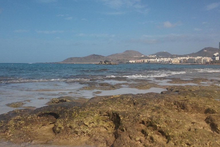 Las Palmas: tour de esnórquel de 3h en playa de Las Canteras