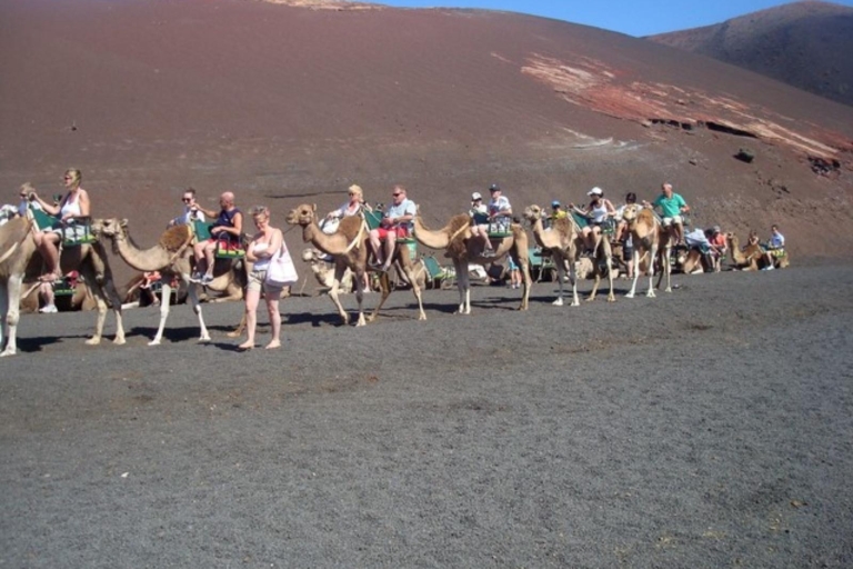 Lanzarote: Timanfaya National Park and La Geria Day Tour From Puerto del Carmen or Costa Teguise in English