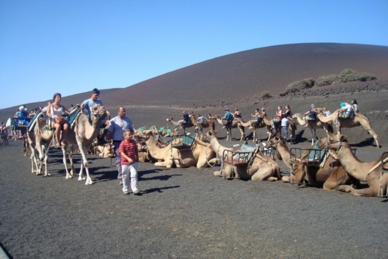 Lanzarote: Timanfaya National Park and La Geria Day Tour From Puerto del Carmen or Costa Teguise in English