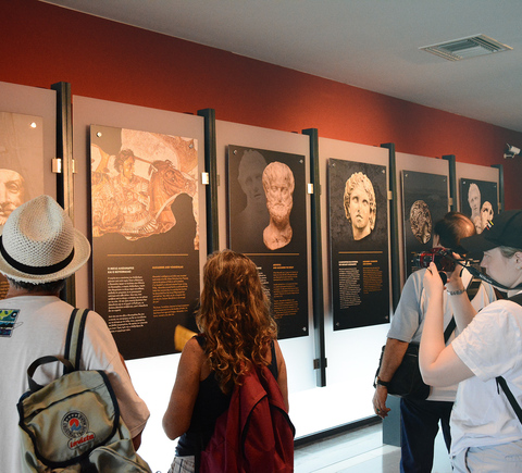 Museums & exhibitions