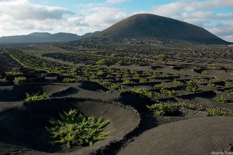 Lanzarote: Full Day Bus Tour with Scenic Views