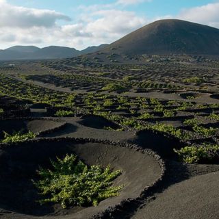 Lanzarote: Full Day Bus Tour with Scenic Views