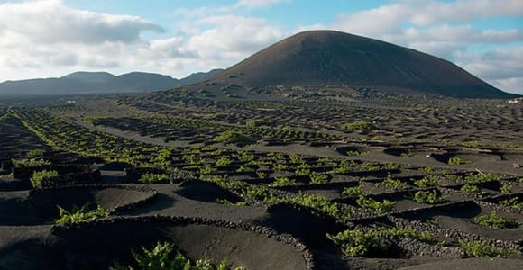 Lanzarote: Full Day Bus Tour with Scenic Views