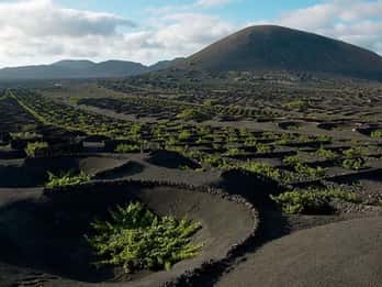 Lanzarote: Full Day Bus Tour with Scenic Views