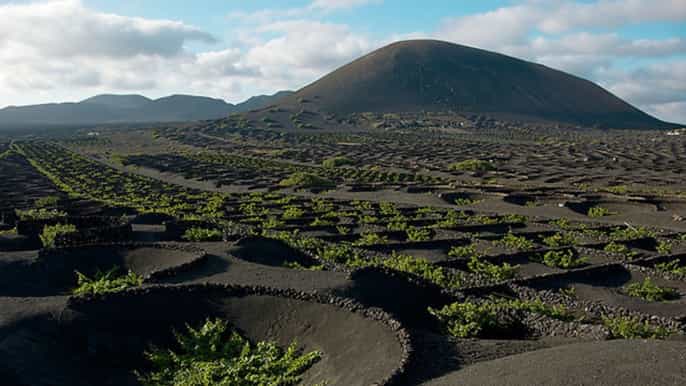 lanzarote full day bus tour with scenic views