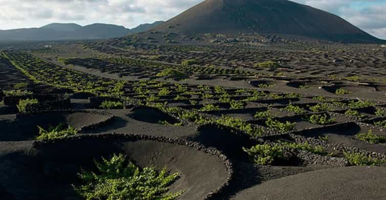 Lanzarote: Tour di un giorno in autobus con viste panoramiche