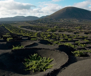Lanzarote: Full Day Bus Tour with Scenic Views
