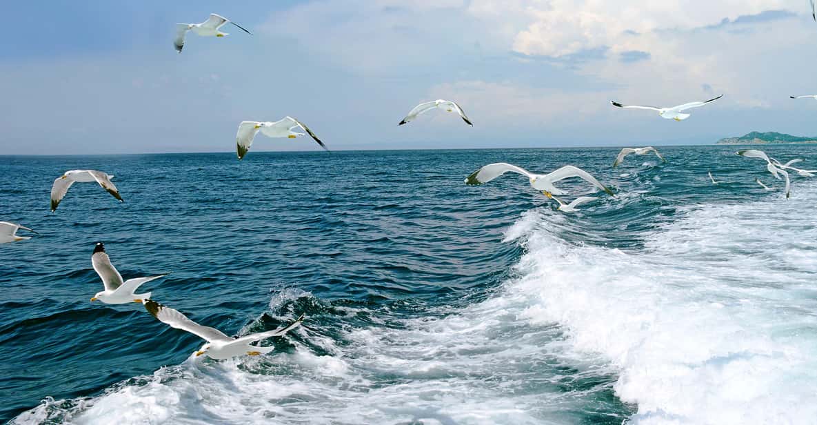 Thessaloniki: Day Trip to Ouranoupoli with Mt. Athos Cruise