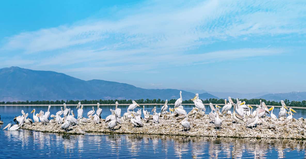 From Thessaloniki: Day Trip to Kerkini Lake