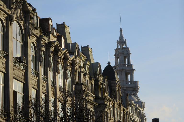 Porto Half-Day Tour - Port piwnice i degustacja serów